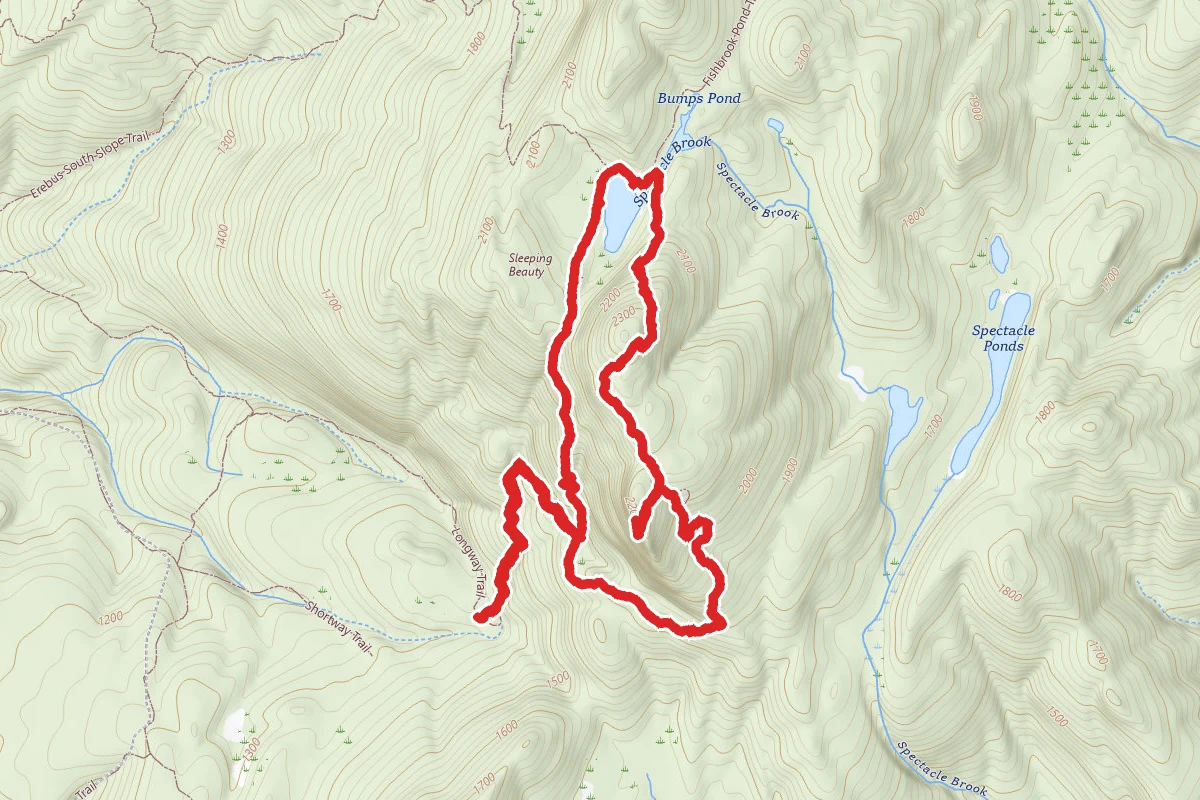Bumps Pond Loop