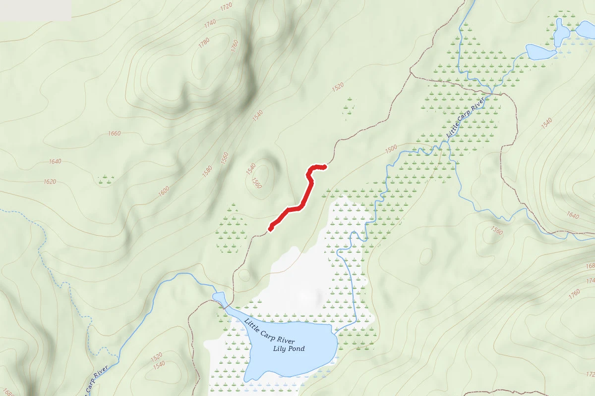 Porcupine Mountains State Park - Little Carp River Trail