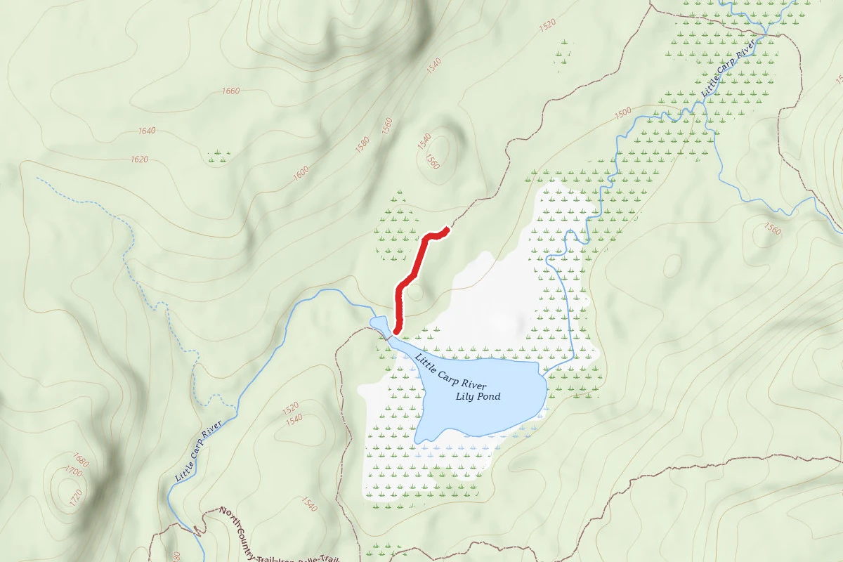 Porcupine Mountains State Park - Little Carp River Trail
