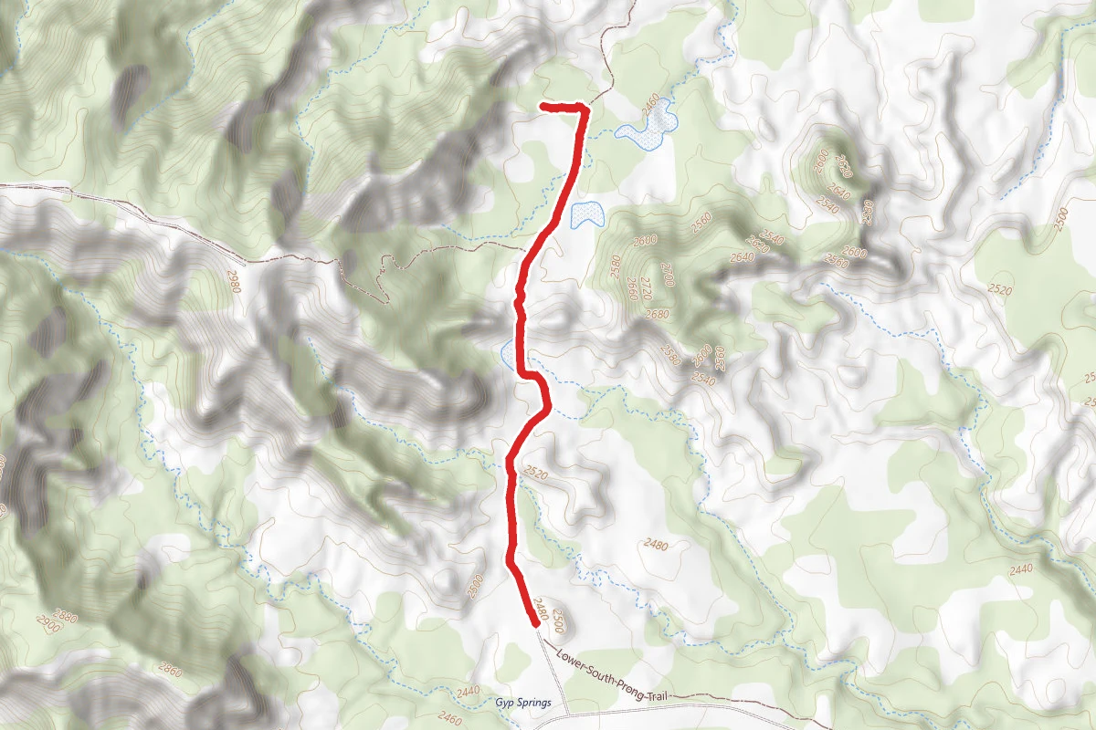 Canyon Loop Trail (Trail D) to North Prong Camping Area