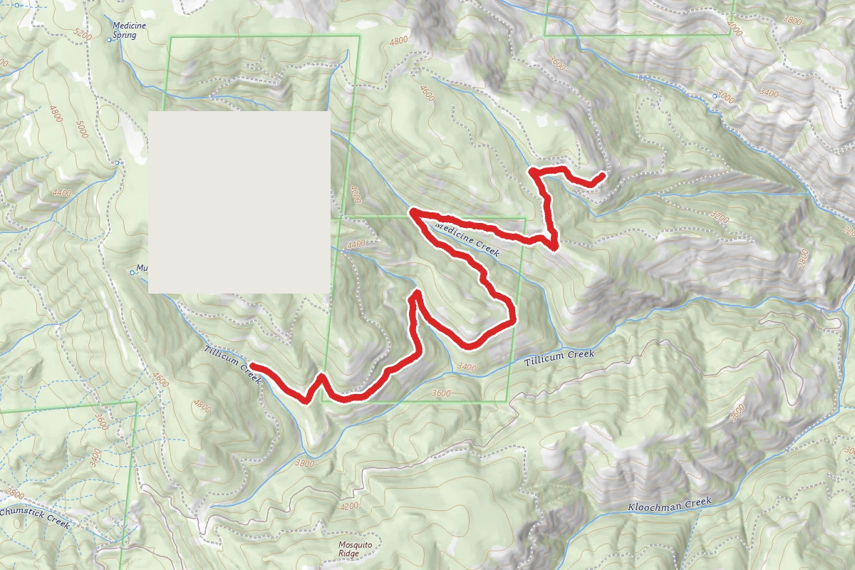 Trail 10F Snowmobile