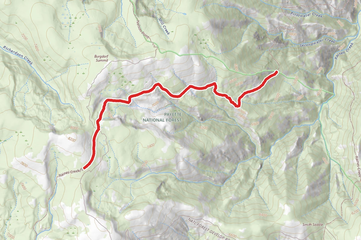 Raines Creek/Slaughter Gulch
