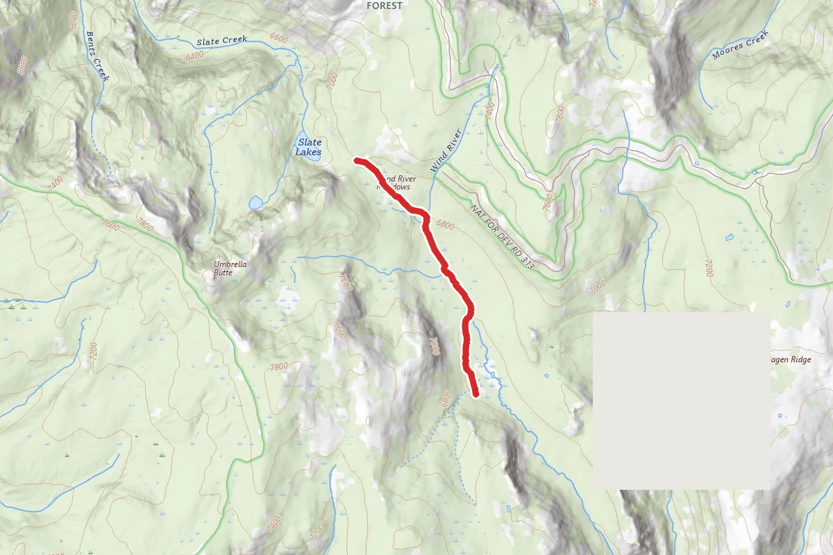 Wind River Meadows
