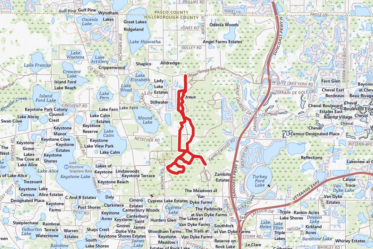 Brooker Creek Preserve Loop Trail