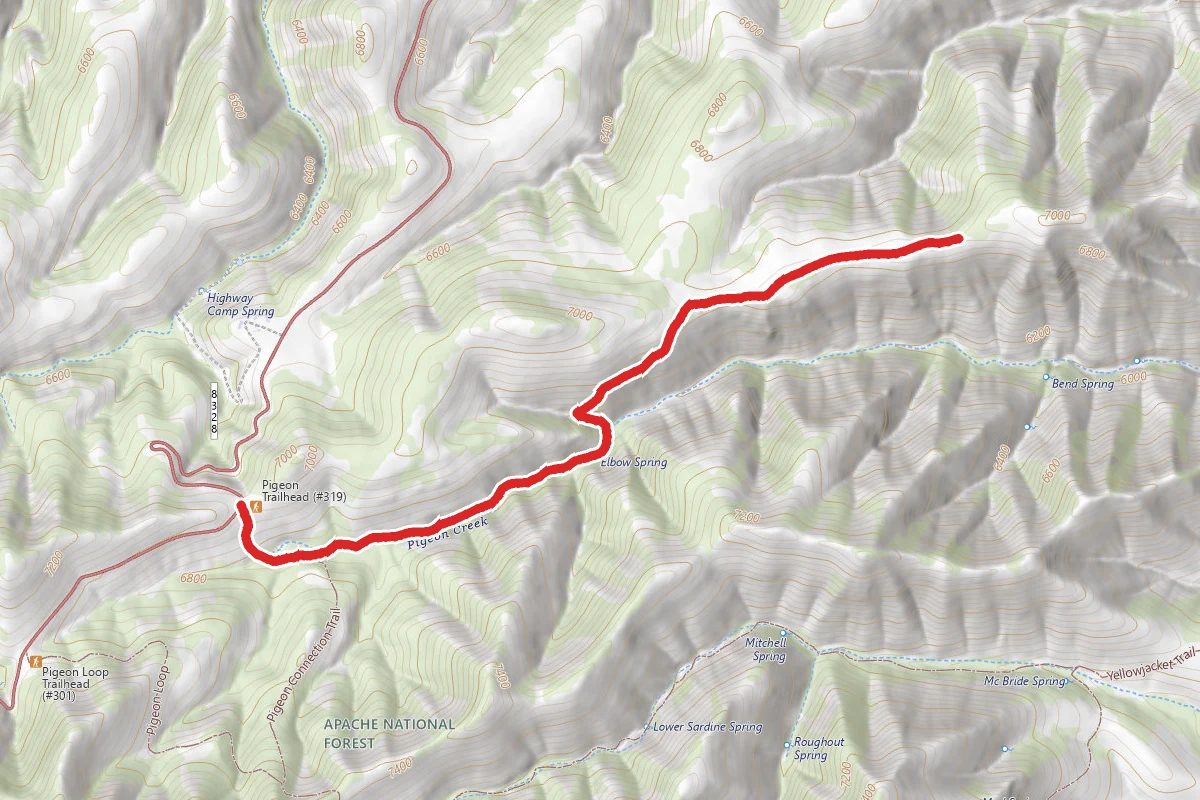 Pigeon Trail