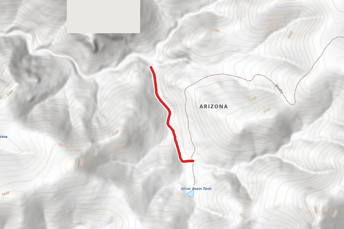 Silver Trail