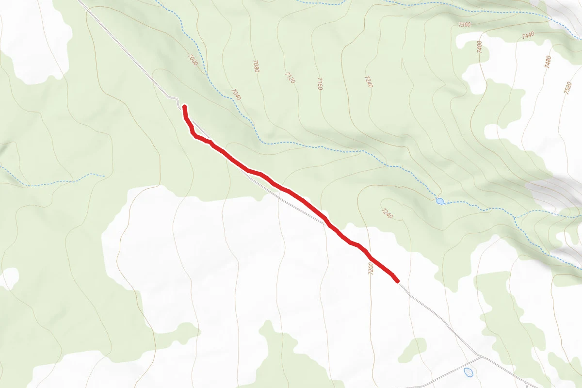 Ms Road