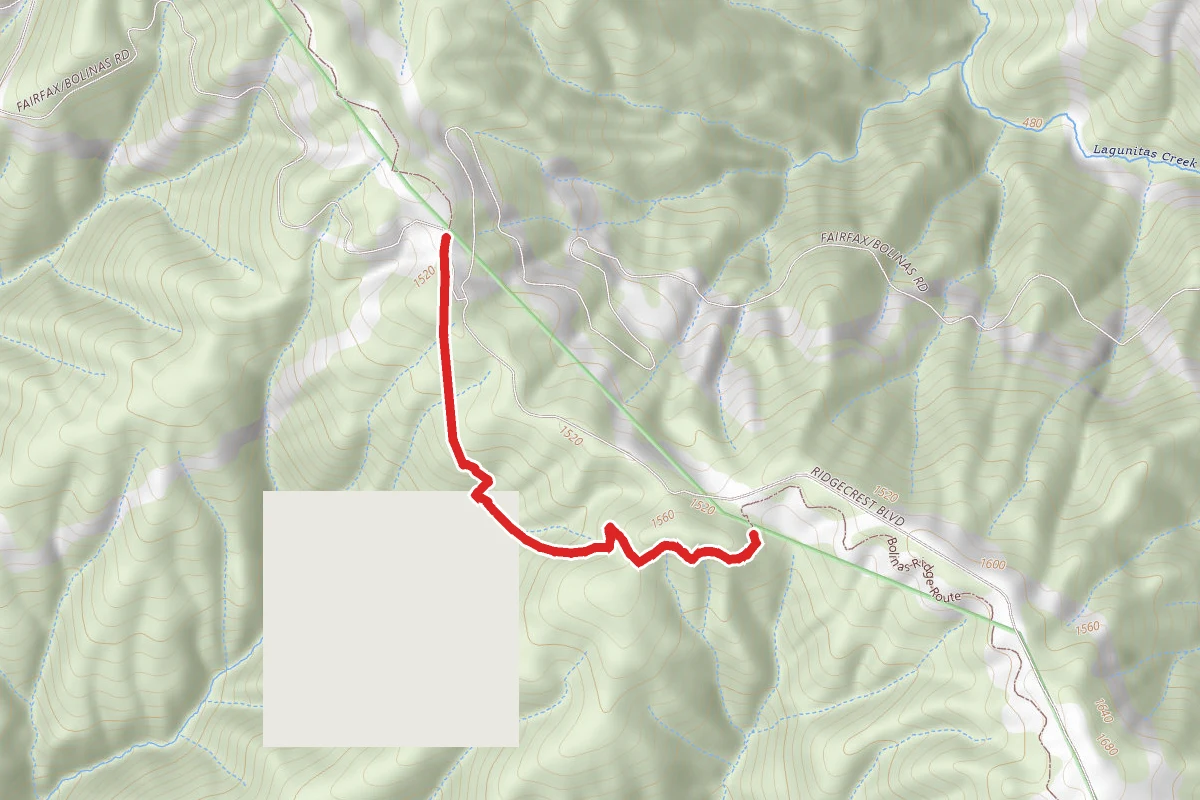Bolinas Ridge Trail