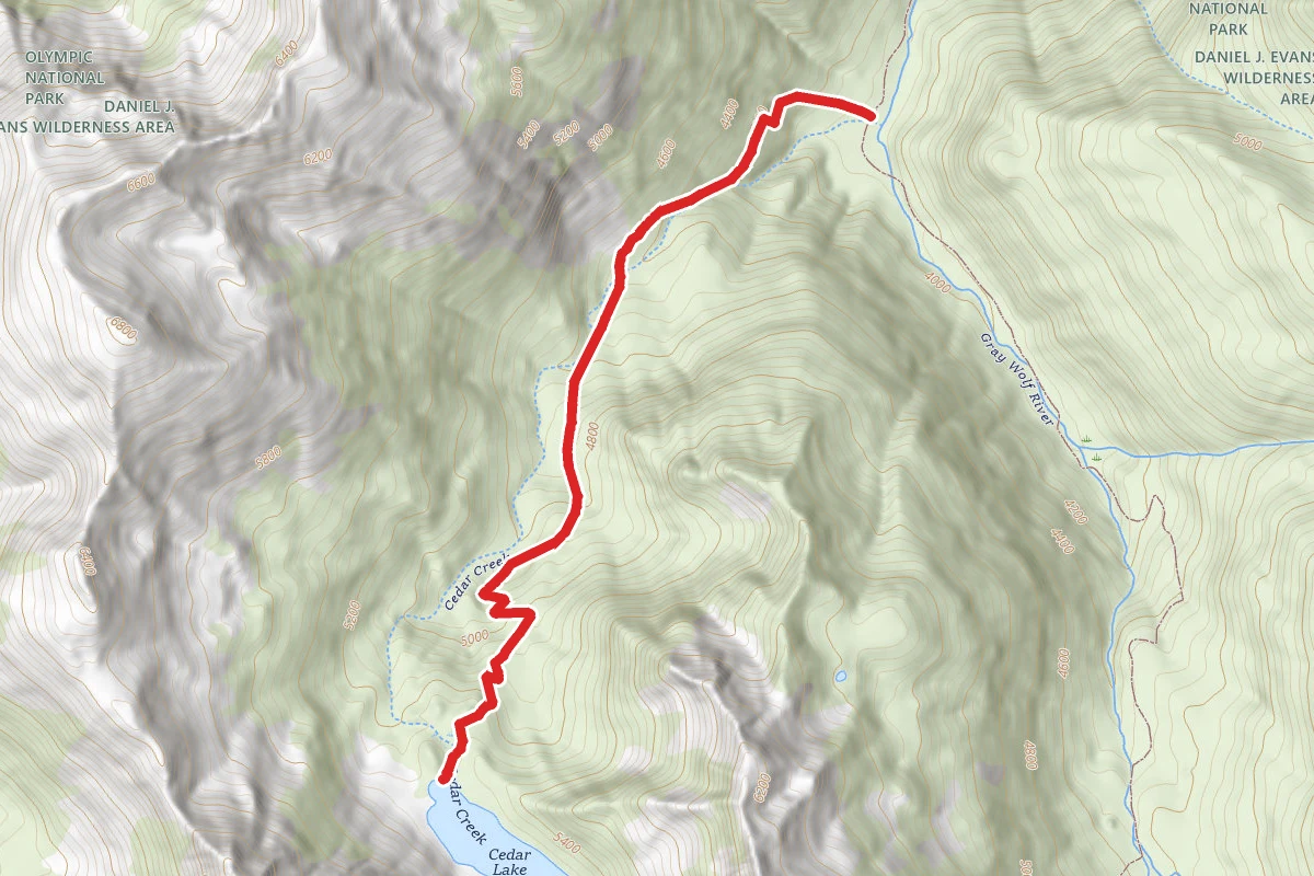 CEDAR LAKE PRIMITIVE TRAIL