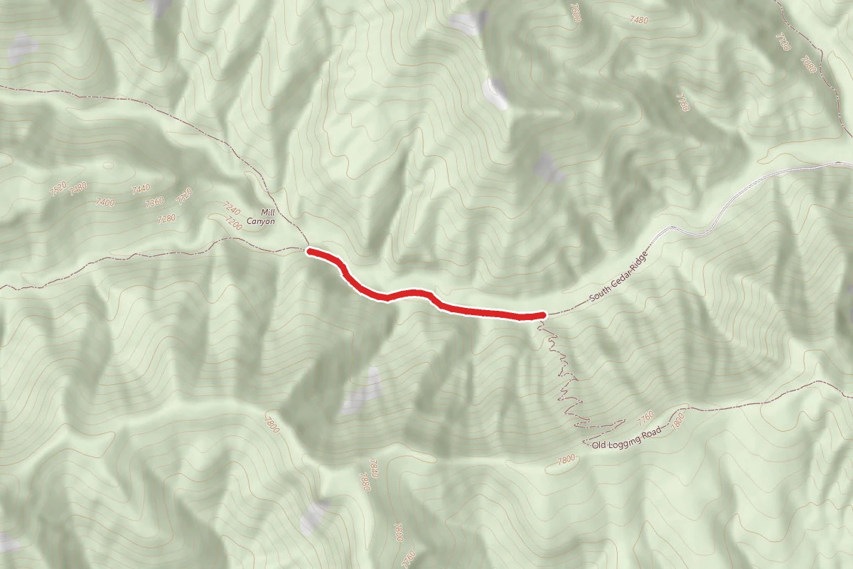 South Cedar Ridge