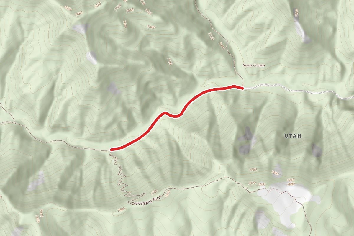 South Cedar Ridge