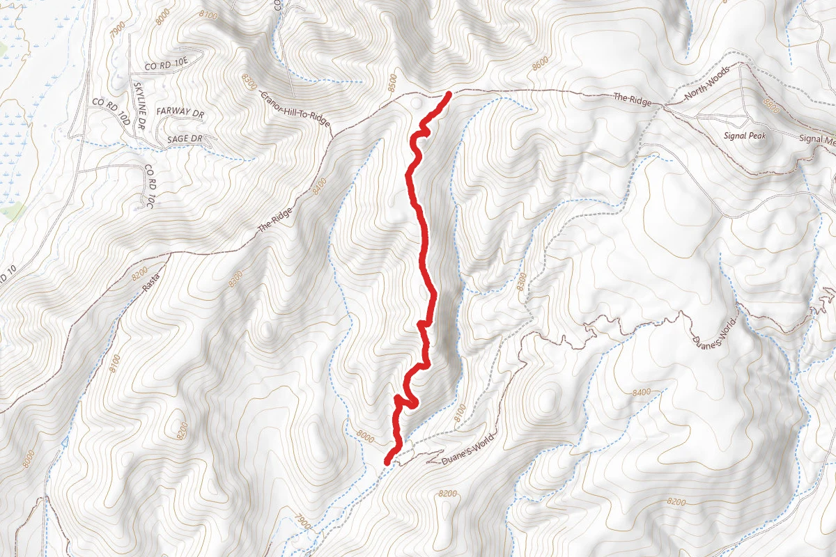 Chicken Wing Trail