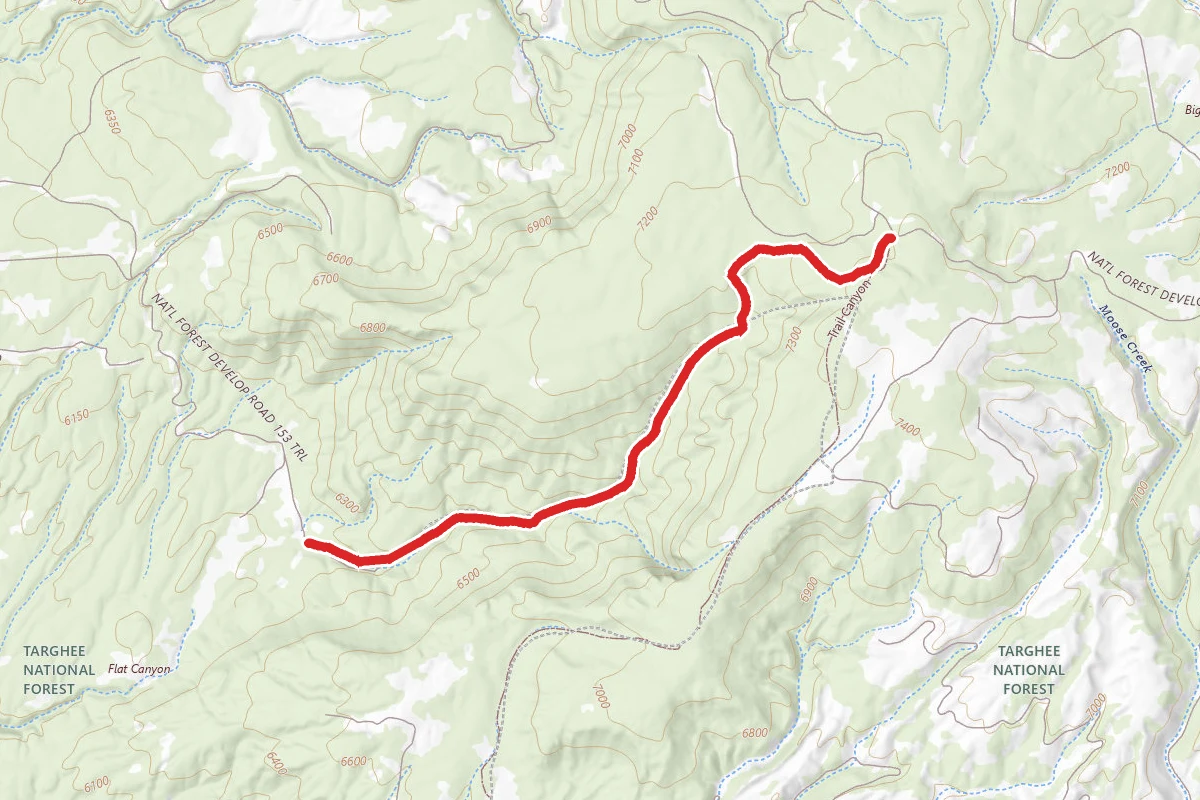 Flat Canyon