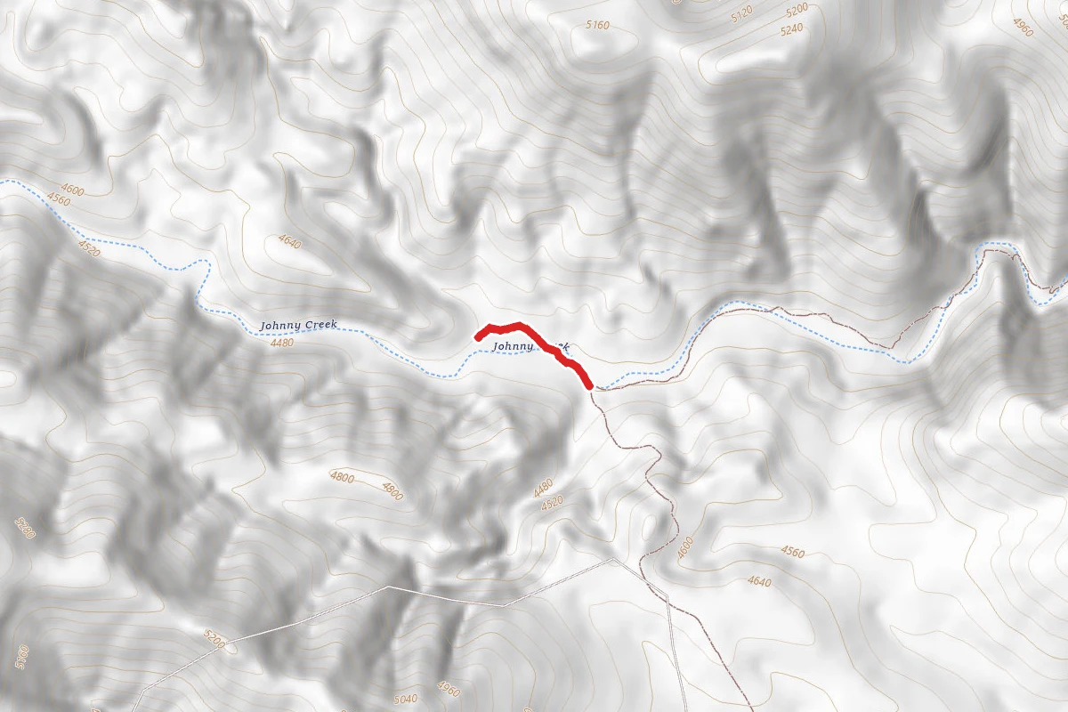 Salt Trap Road