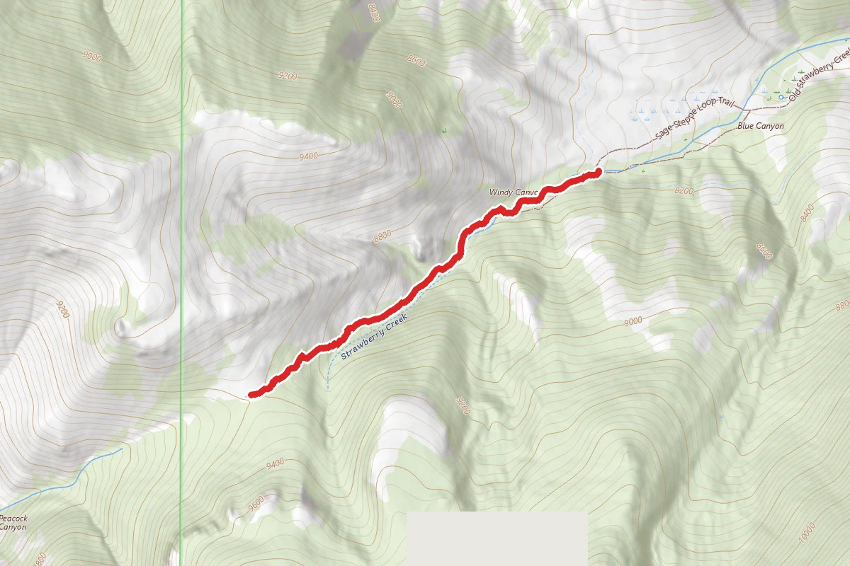 Upper Strawberry Trail