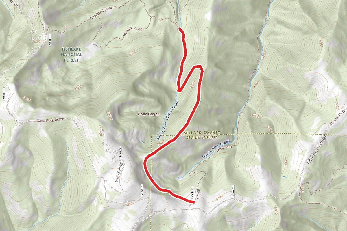 Bear Canyon