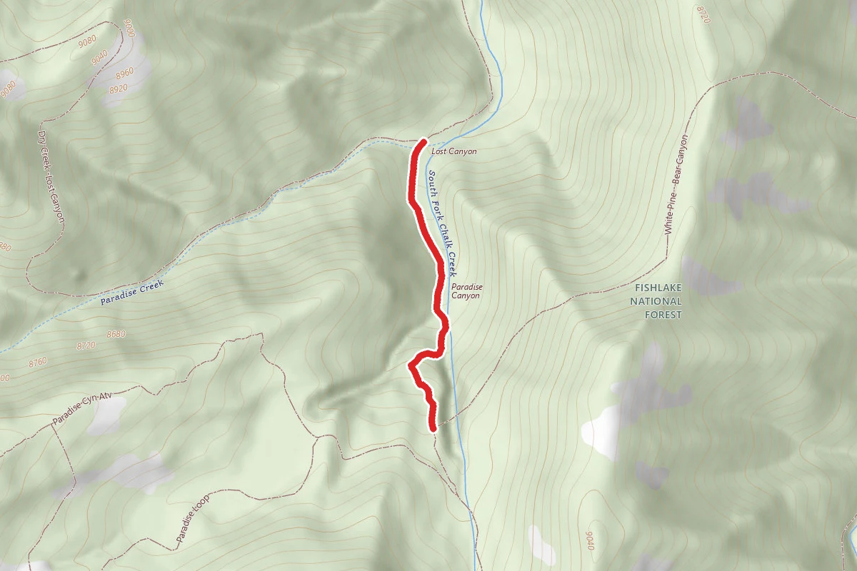 Bear Canyon