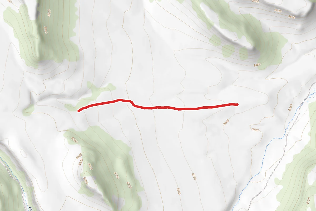 Whippoorwill Road