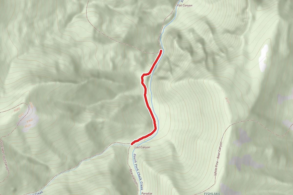Bear Canyon