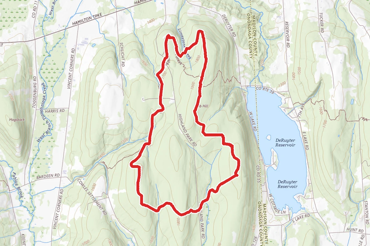 Highland Forest Main Trail