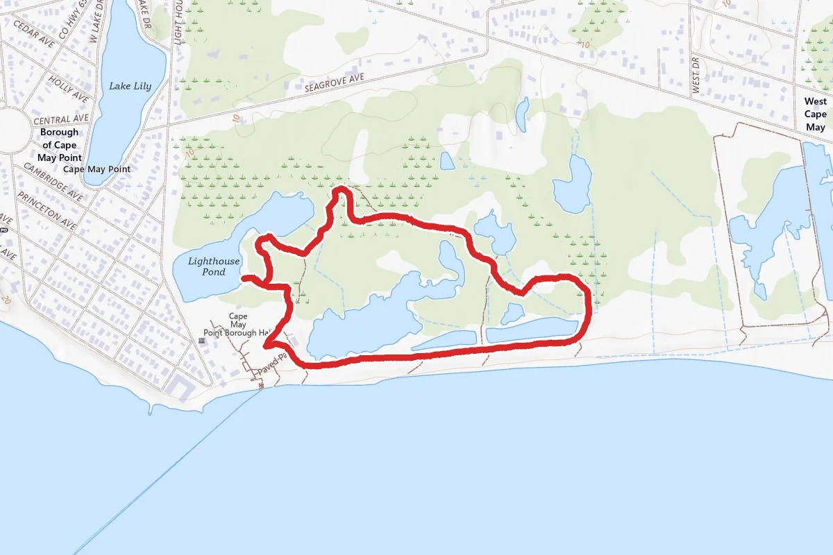 Cape May Point Trail