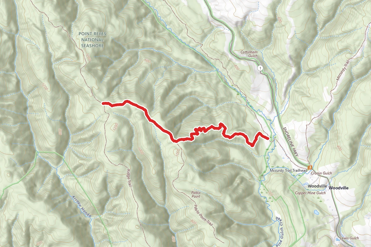 Teixeira Trail