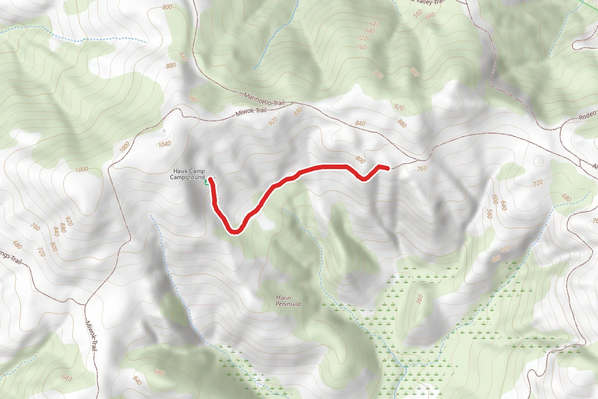 Hawk Camp Trail