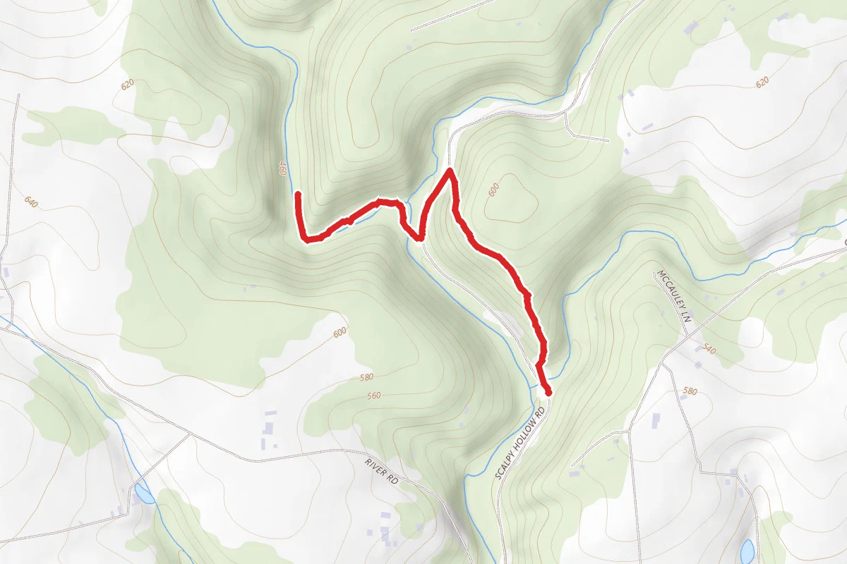 Fishing Creek North Trails