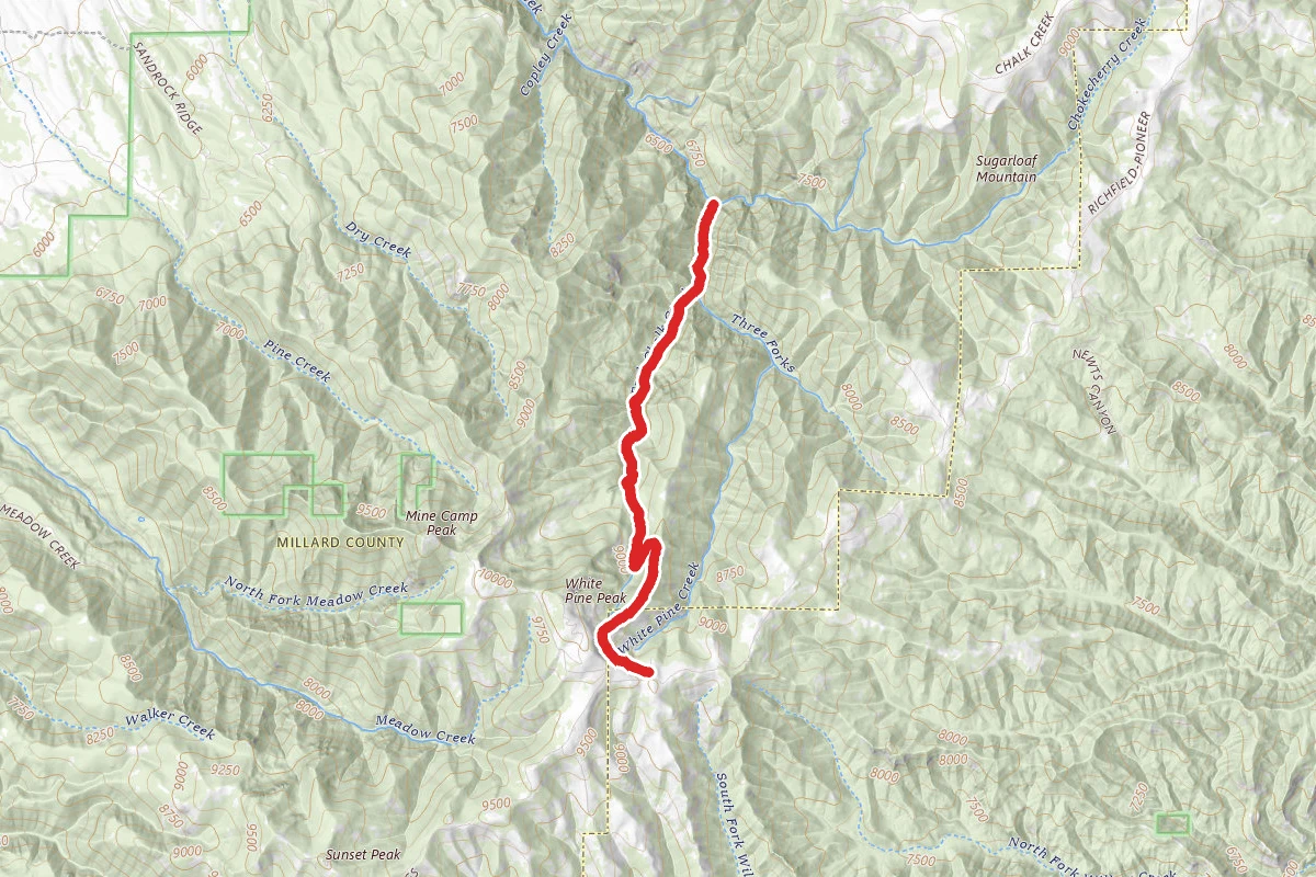 Bear Canyon