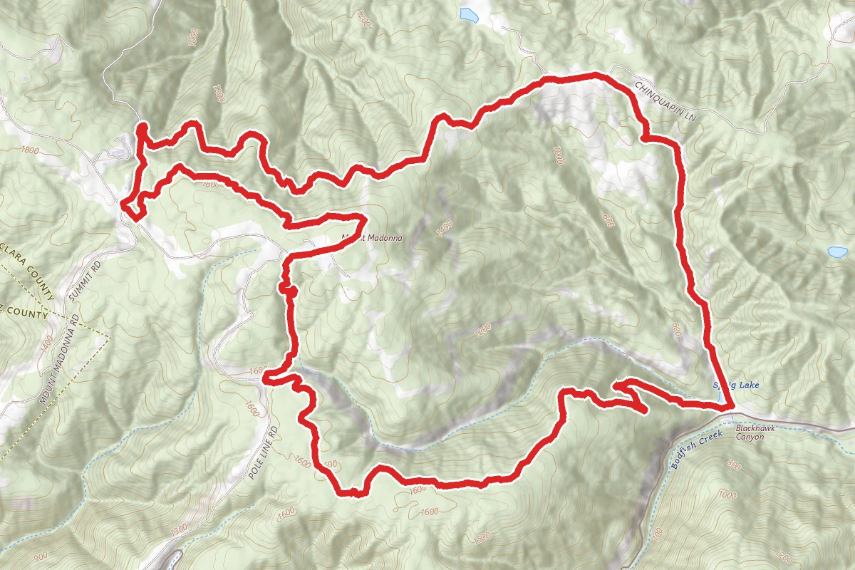Sprig Trail, Merry-Go-Round, and Tan Oak Trail Loop