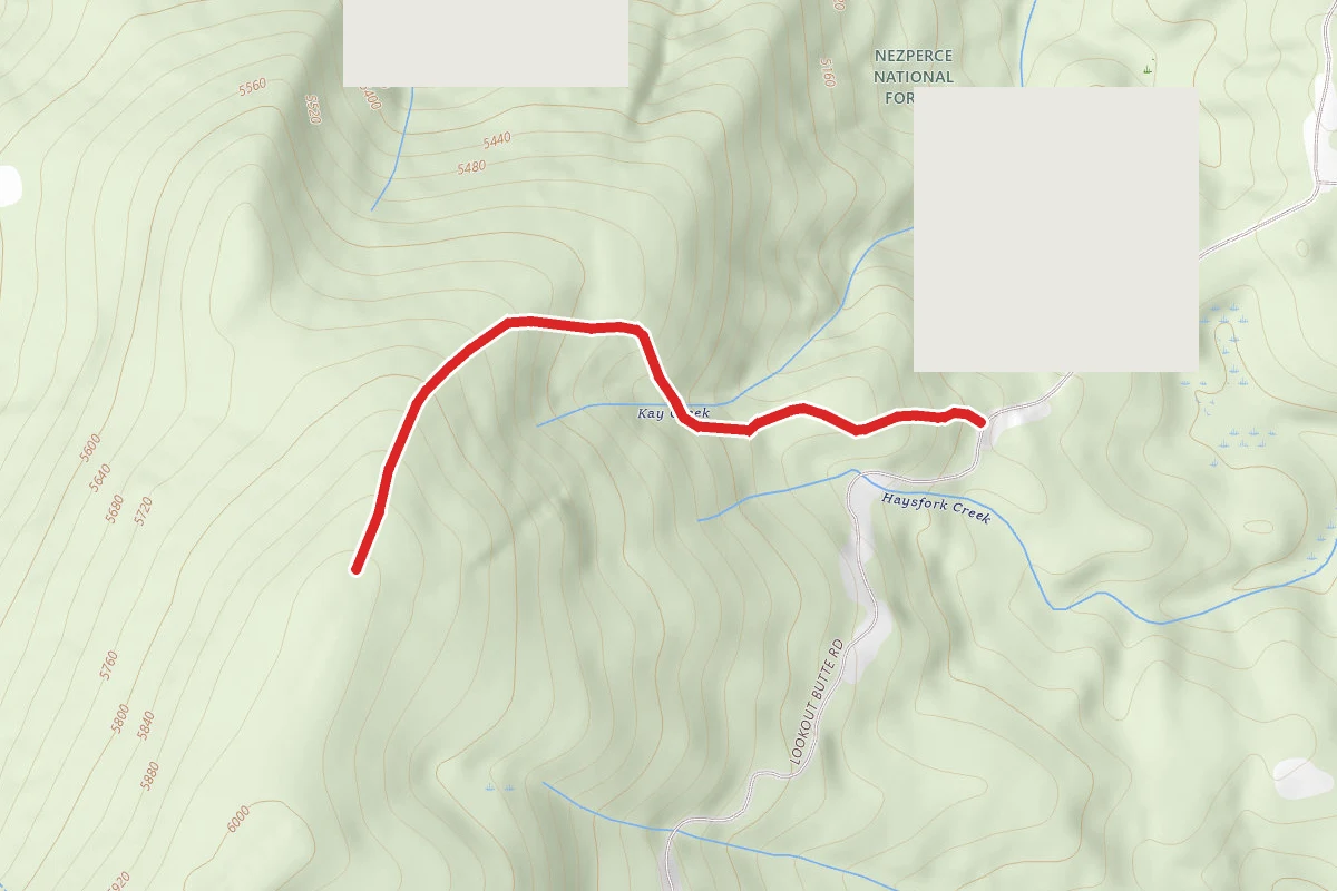 Baldy Mountain