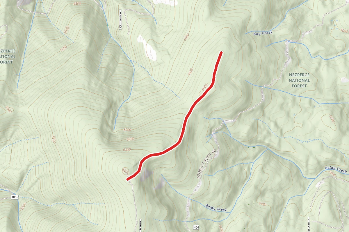 Baldy Mountain