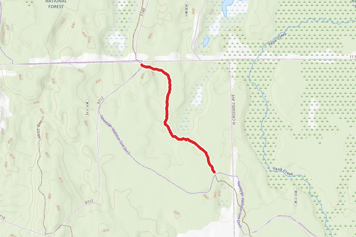 North Country Trail_Iron Belle Trail
