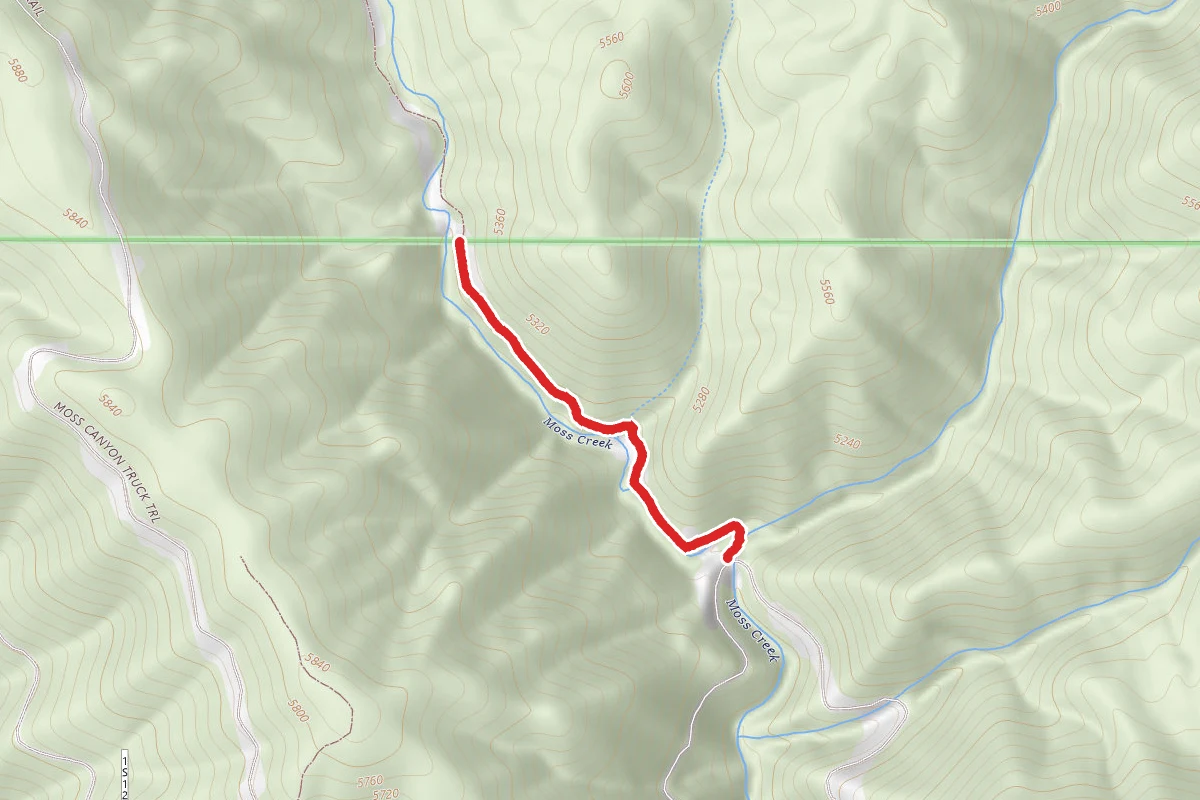 Old Coulterville Road