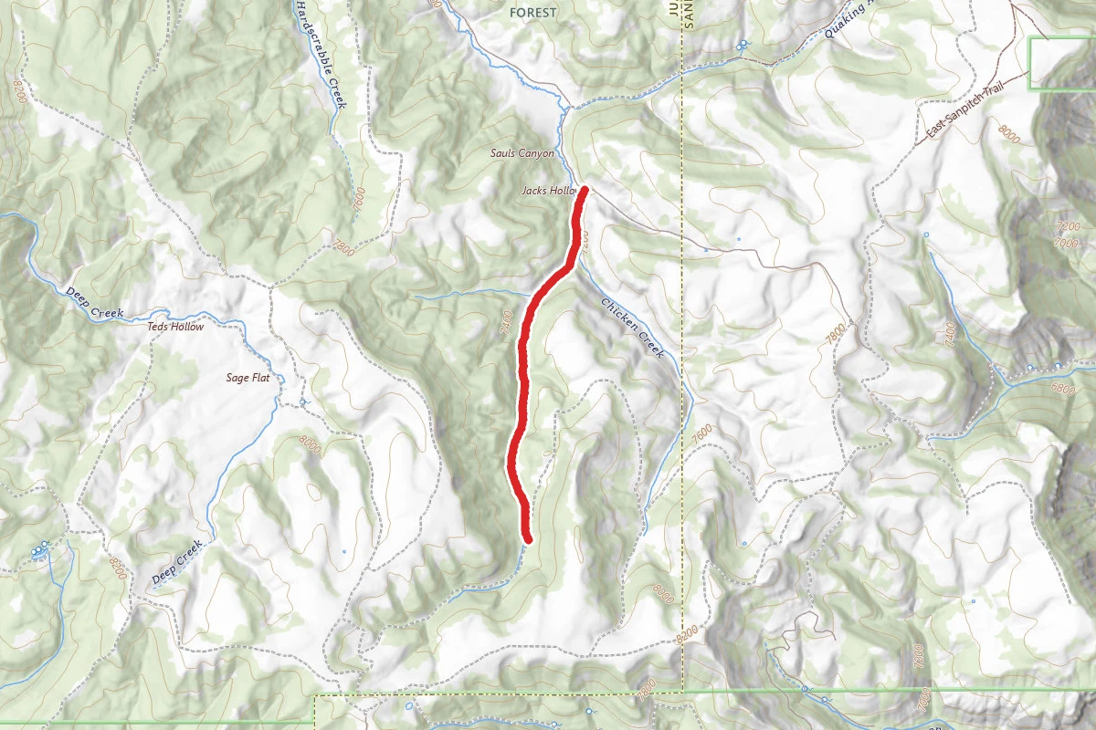 Sauls Canyon