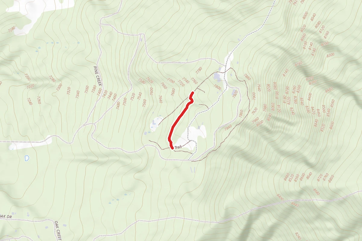 Horse Loop