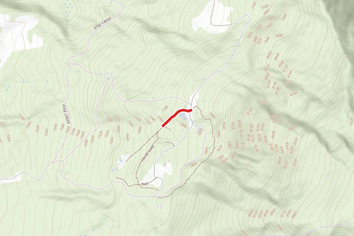 Horse Loop