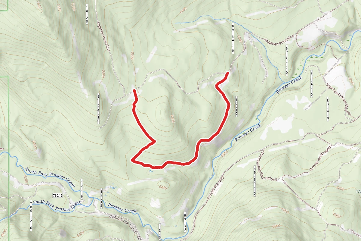 Lower Sagehen Ohv Loop