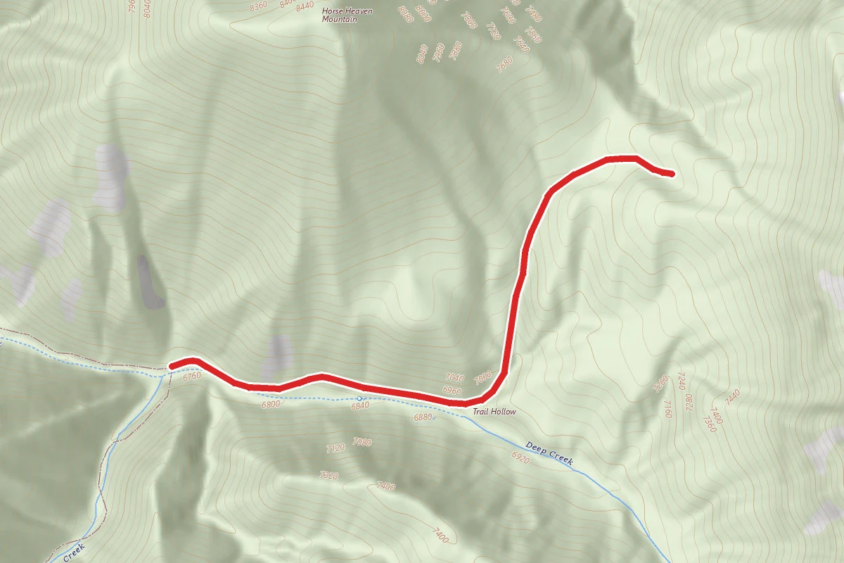 Trail Hollow