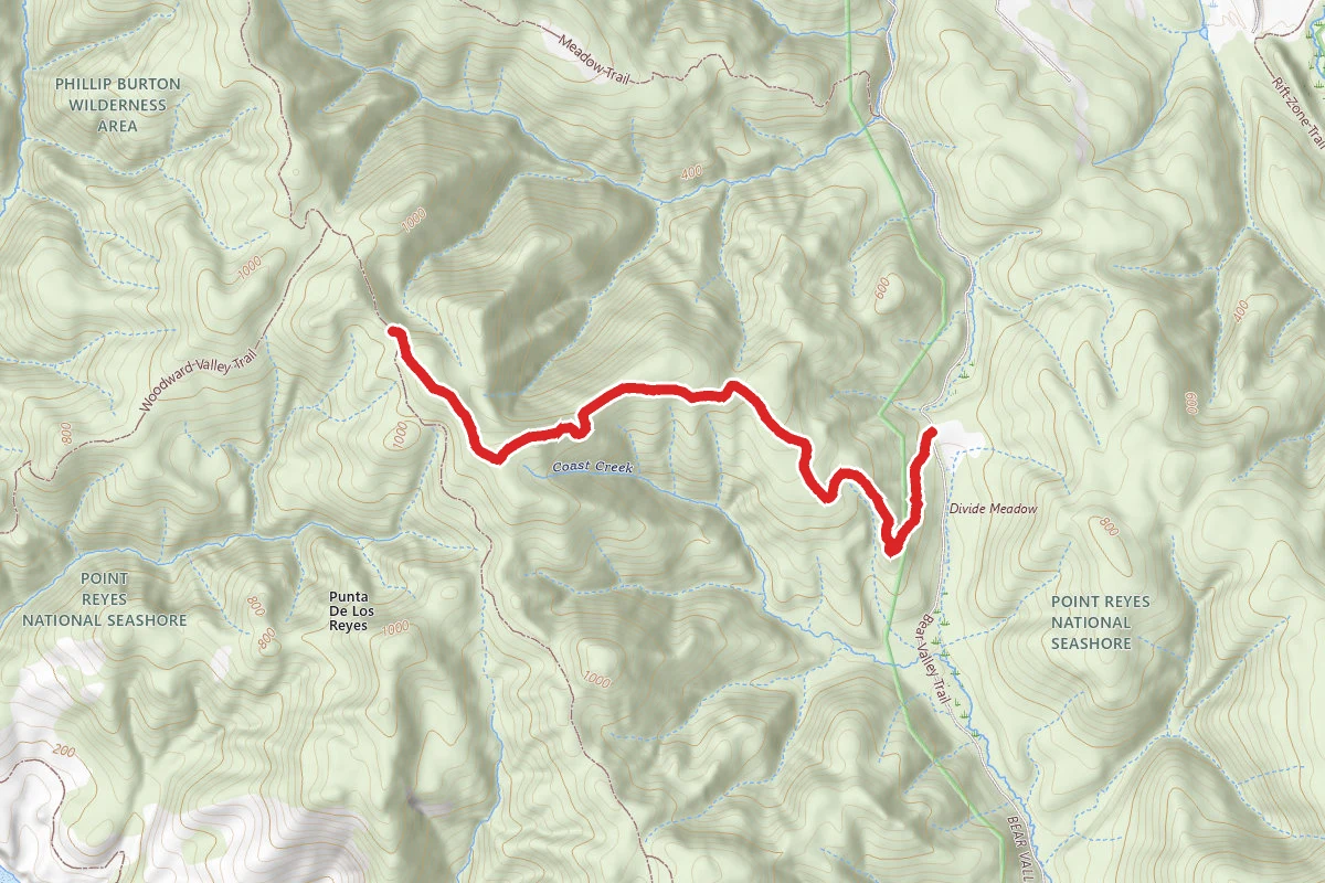 Old Pine Trail