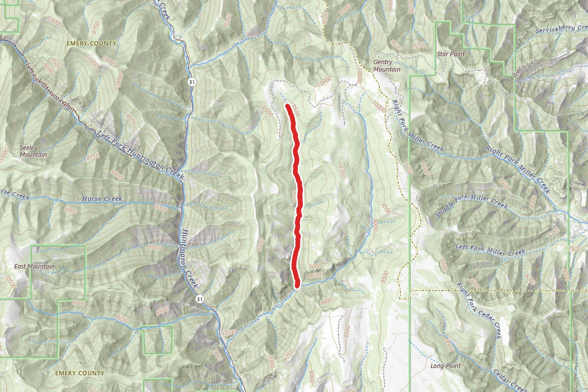 Wild Cattle Hollow Spur