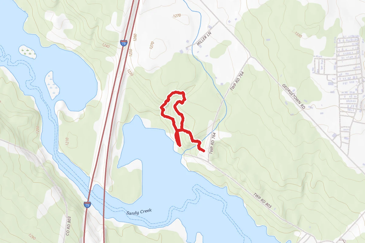 Falling Run Trail