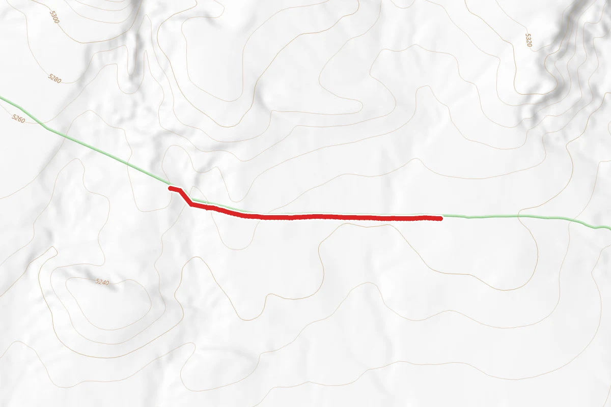 Honeymoon Trail