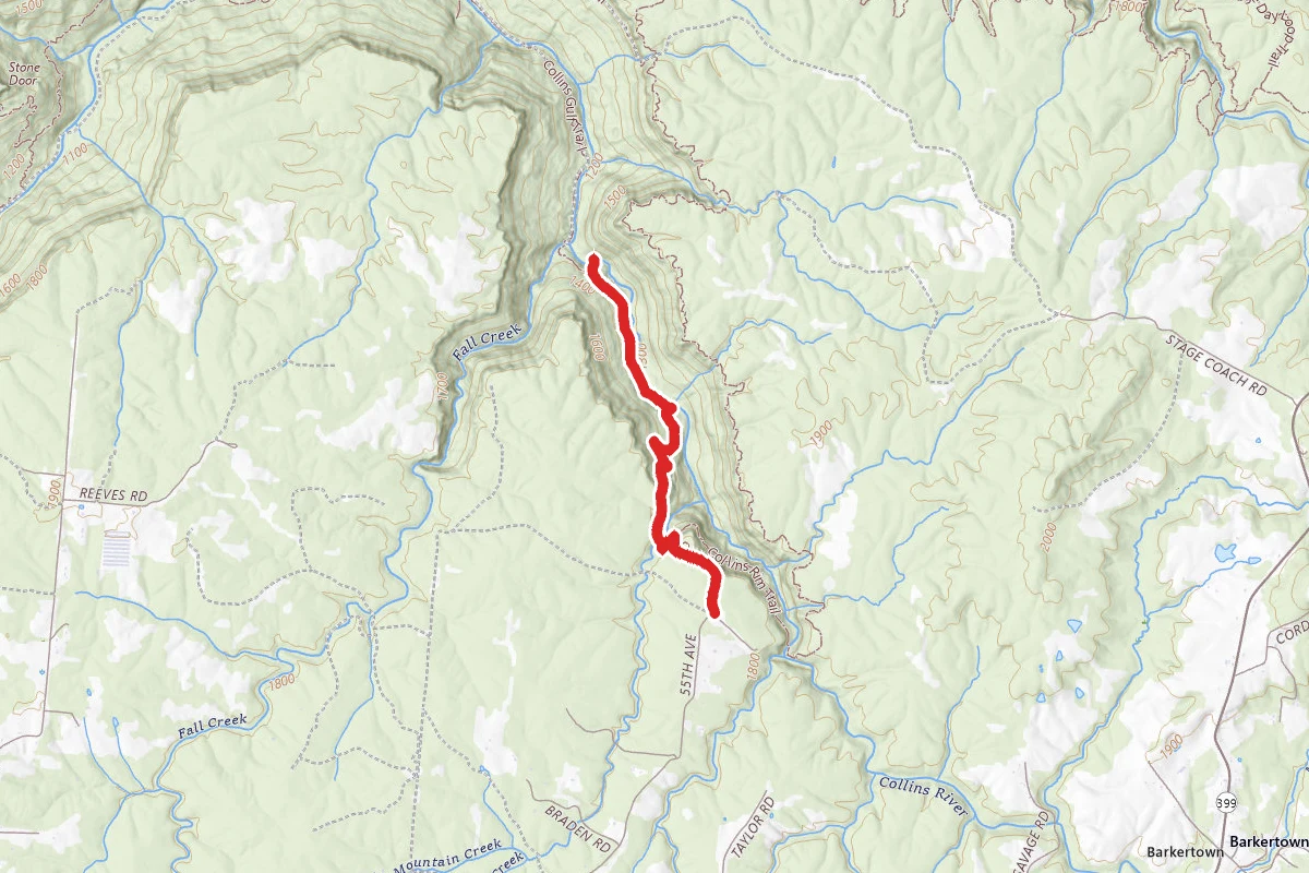 Collins Gulf Trail to Horsepound Falls and Collins River