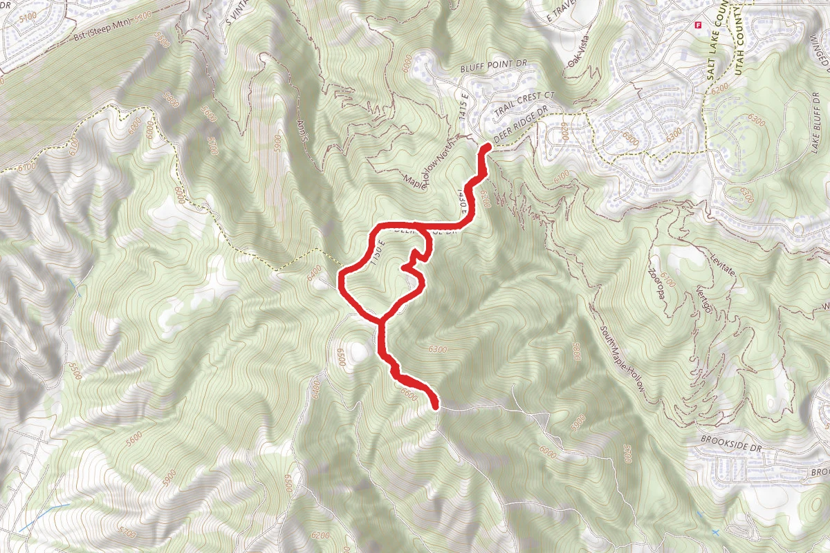 Suncrest Trail
