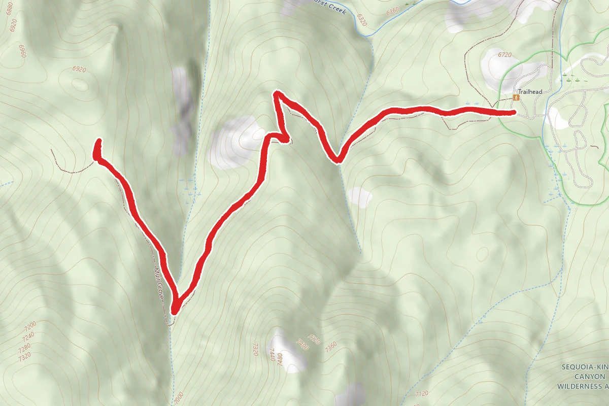 Muir Grove Trail