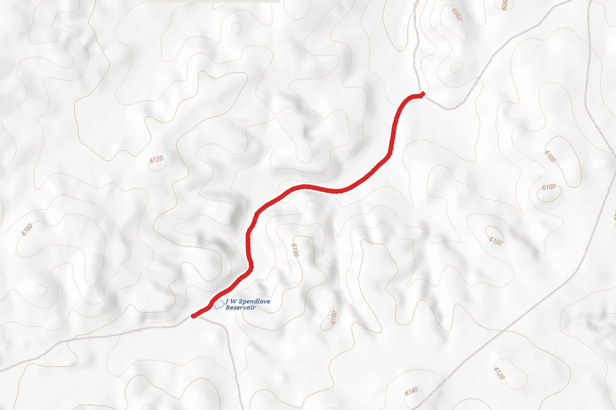 Carroll Loop