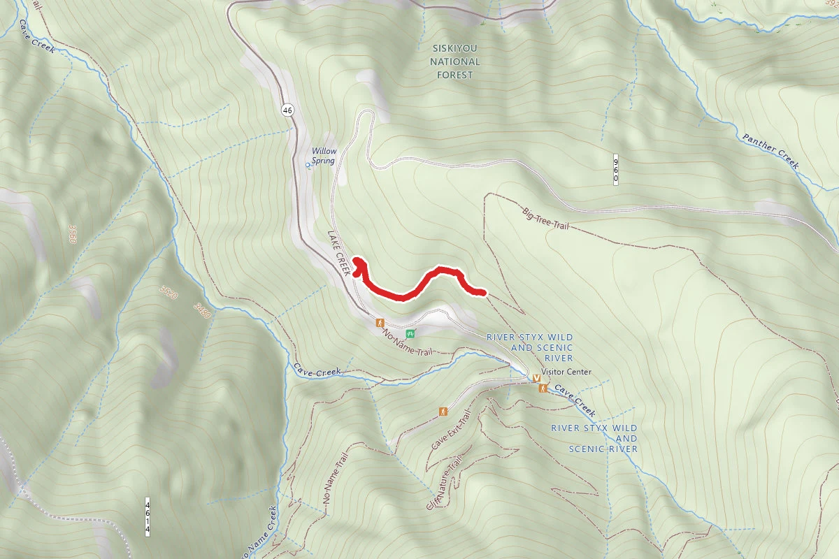 Old Growth Trail