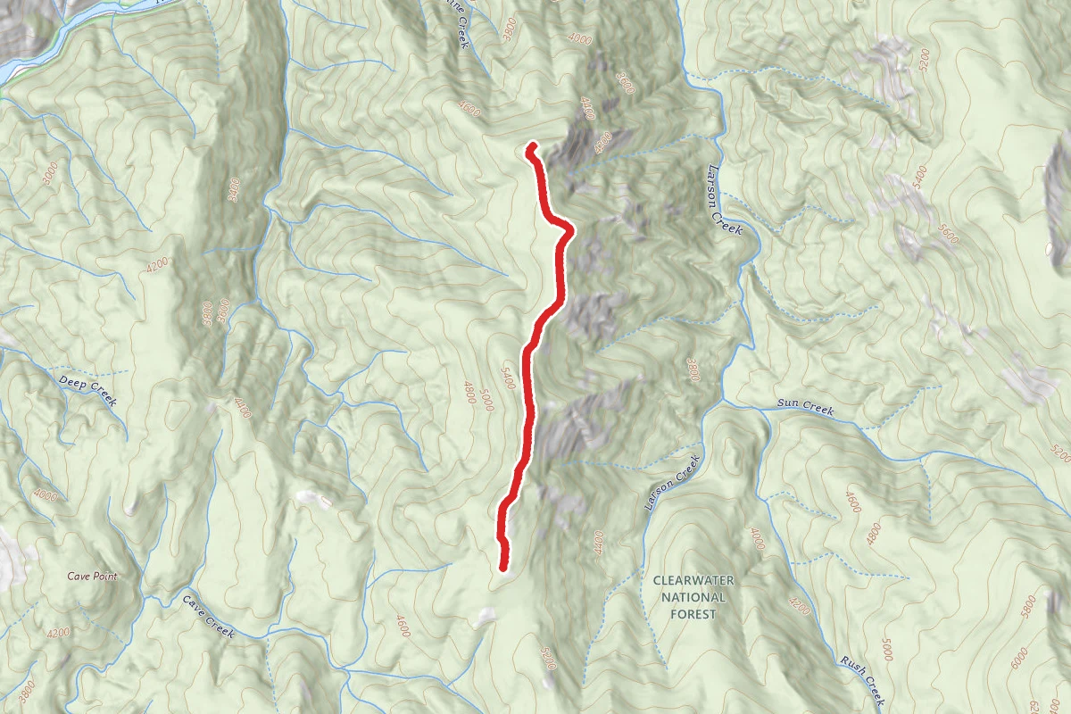 Larson Point
