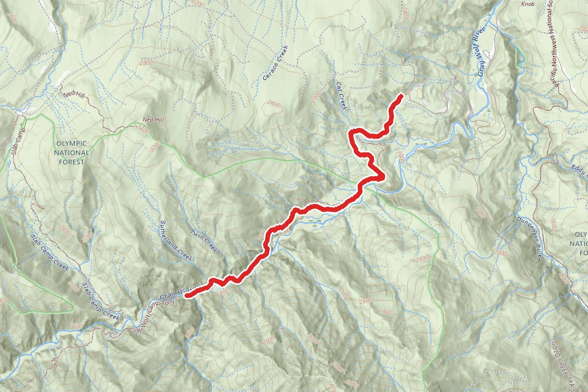 Gray Wolf Trail